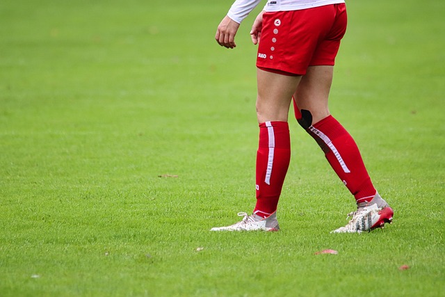 识的提高 识的提高