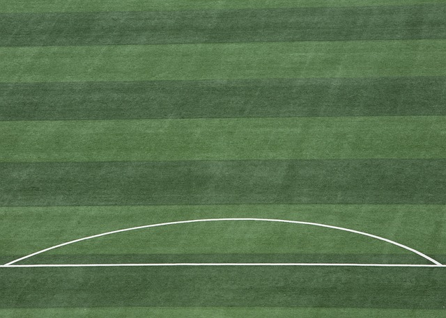 的后果而非 的后果而非