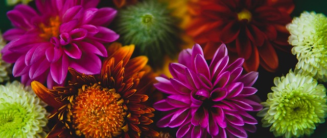 通过这样的 通过这样的