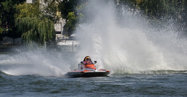 阿联酋在中 阿联酋在中