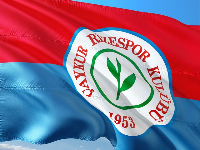 许多实例显 许多实例显