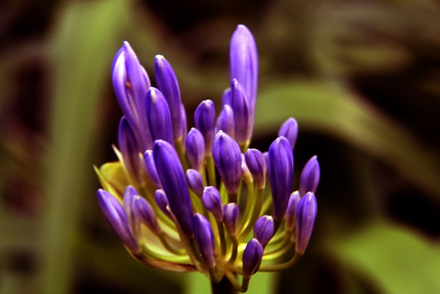 这并不仅仅 这并不仅仅