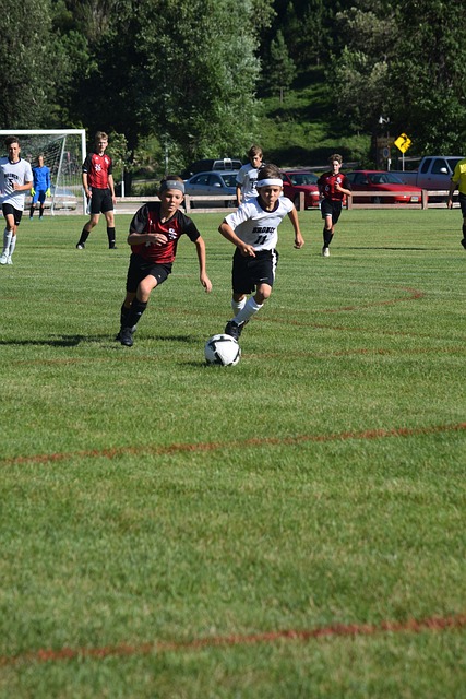 的旗帜人物 的旗帜人物